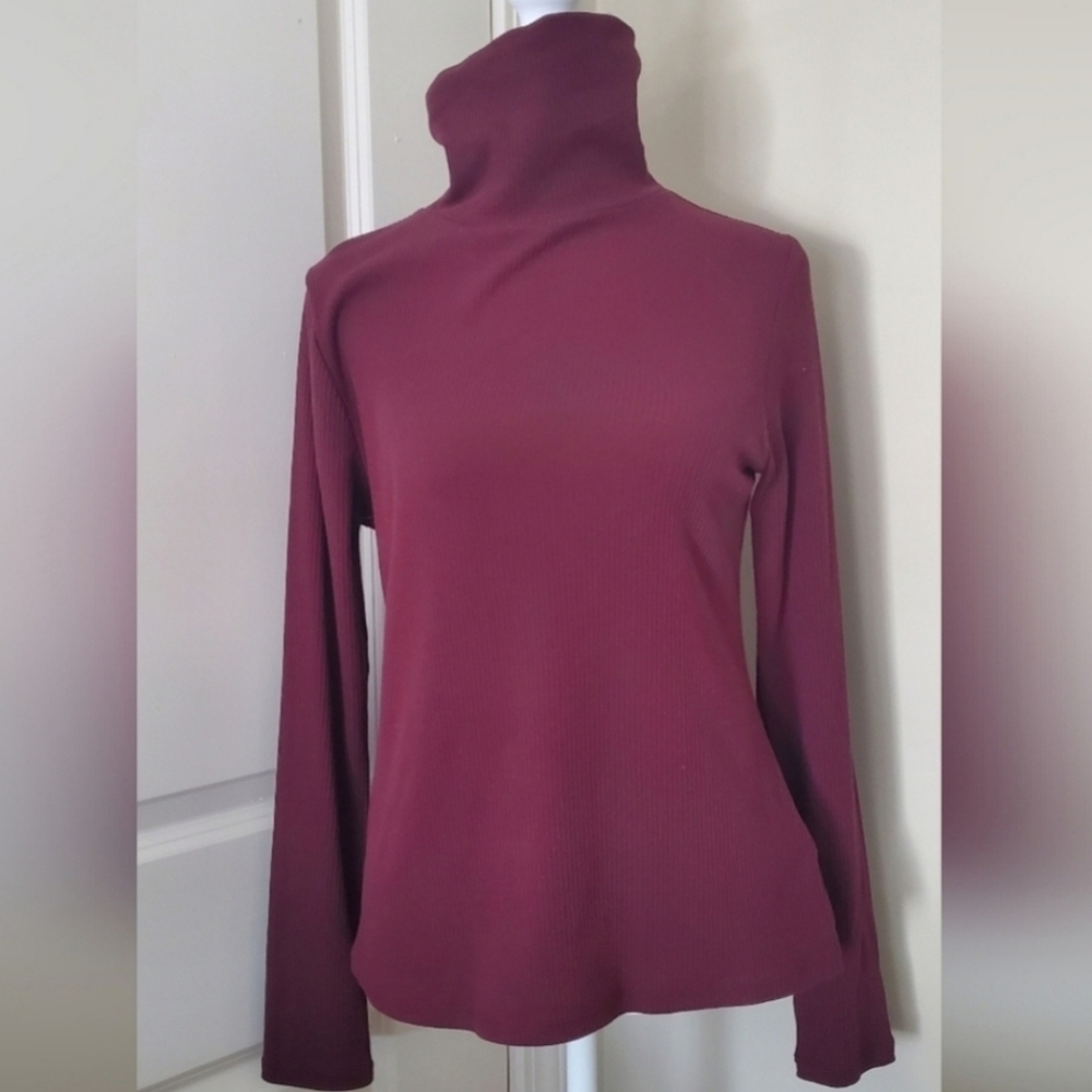 EUC Ribbed Turtleneck - Picture 2 of 11